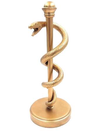 Laska Eskulapa - symbol sztuki medycznej - prezent dla lekarza