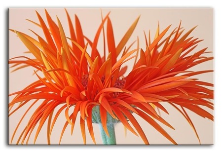 Obraz "Kwiaty" reprodukcja 60x90 cm