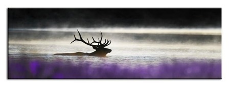Obraz "Wild Nature" reprodukcja 150x50 cm